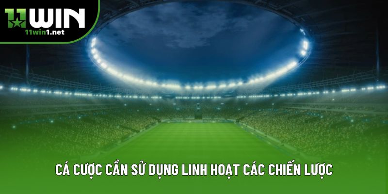 Cá cược cần sử dụng linh hoạt các chiến lược