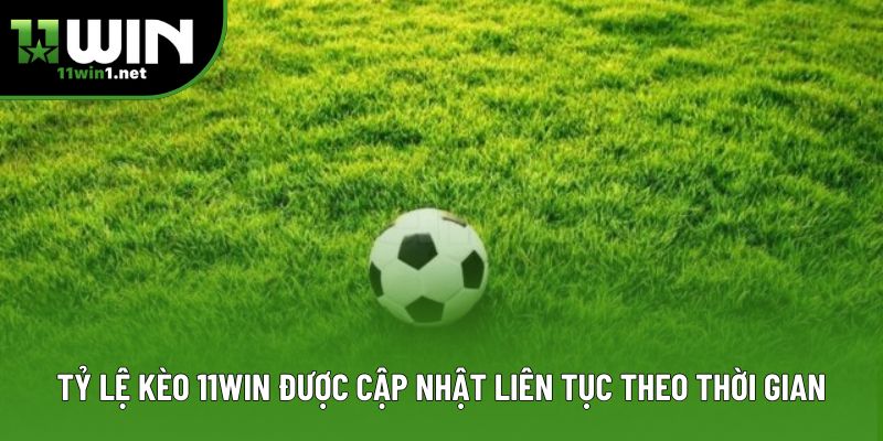 Tỷ lệ kèo 11win được cập nhật liên tục theo thời gian